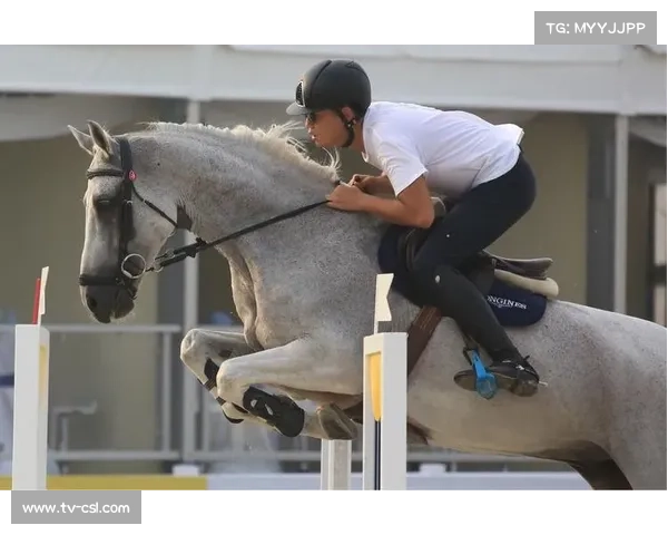 济南公开赛赛事中心热身训练与验马流程全面公开保障赛事顺利进行 济南公开赛赛事中心热身训练与验马流程全面公开保障赛事顺利进行